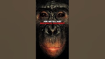 Sapolsky: There is no soul. We’re Just Biological Machines!