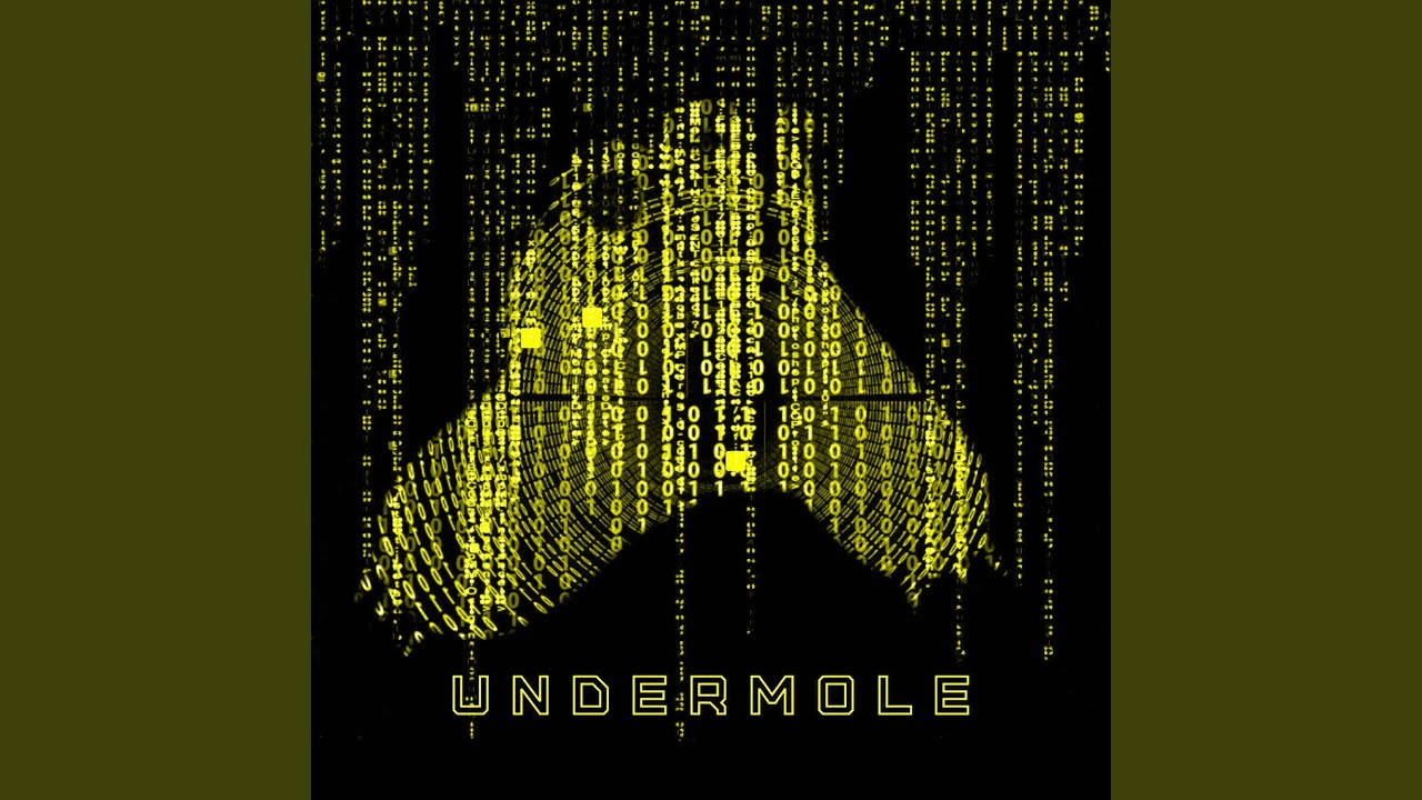 FlashBack 2.0 (Extended Version)