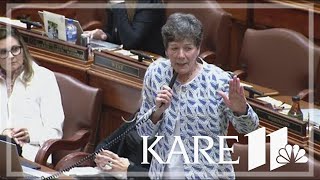 MN legislators debate gun safety at Capitol