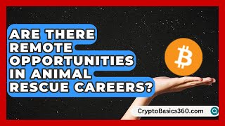 Are There Remote Opportunities in Animal Rescue Careers Animal Care Jobs