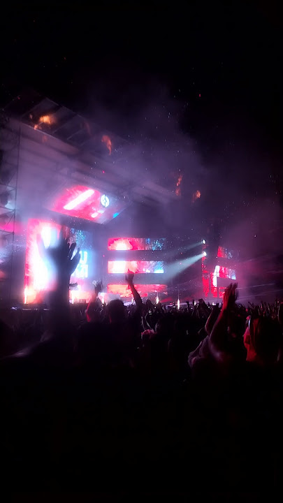 DJ WHISNU SANTIKA #subscribemychannel #like #borderland #musicfestival