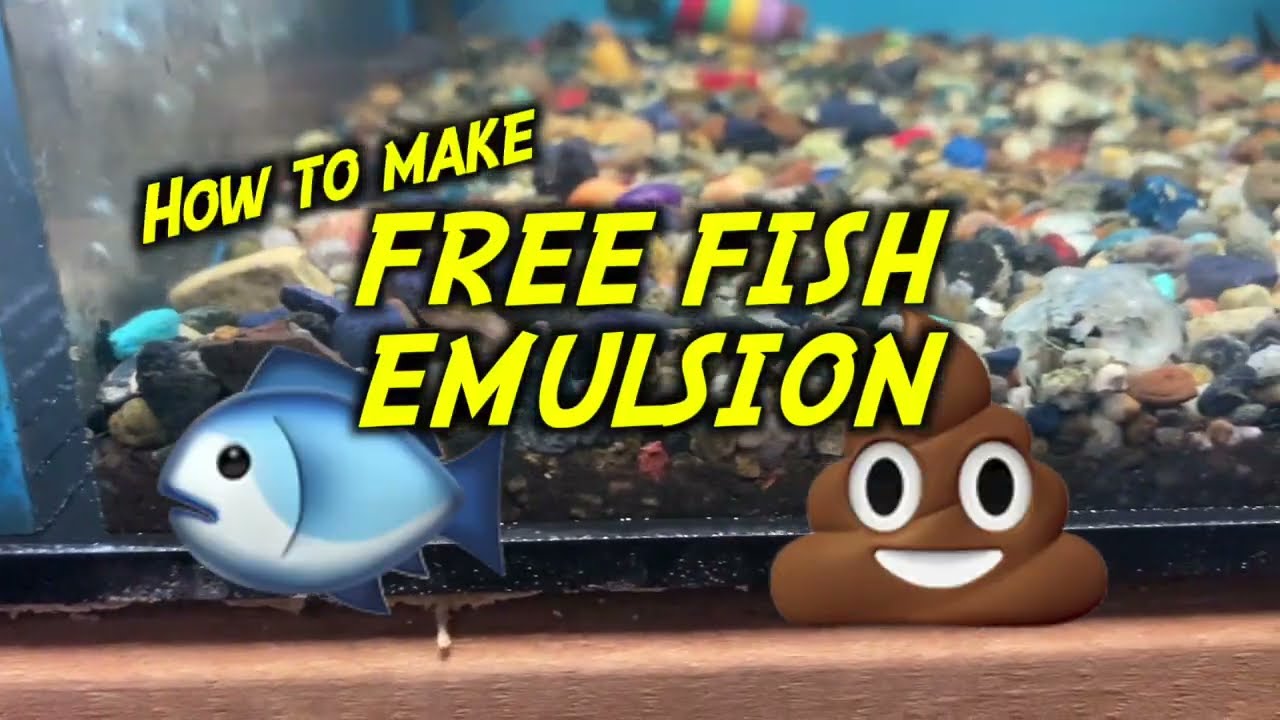 Forget Costly Fertilizers! This is THE BEST FREE Organic Plant Boost 