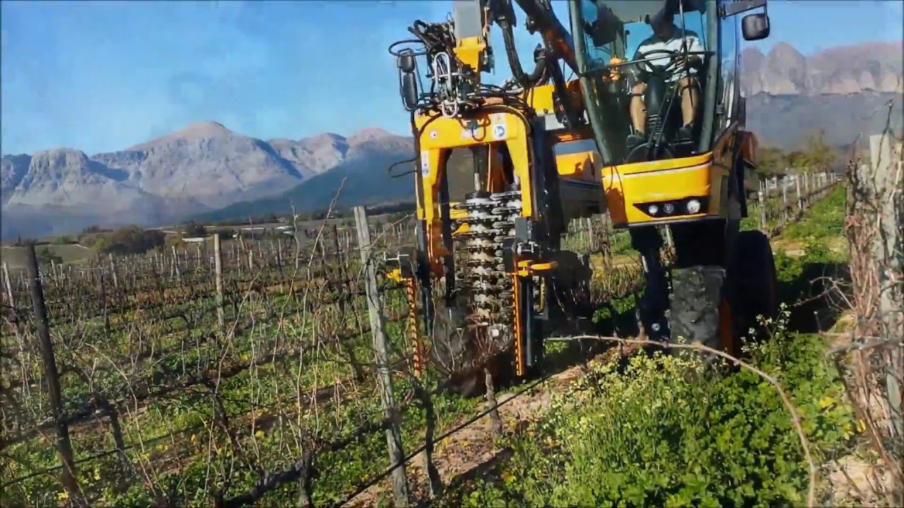 TLVP Vision Pruner on Optimum