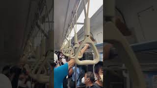 Surprise on the train坐區間車時的驚艷#butterfly