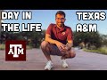 A day in the life of a college student at texas am university