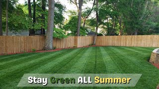 3 MUST DO Lawn Tips For The GREENEST Summer Lawn