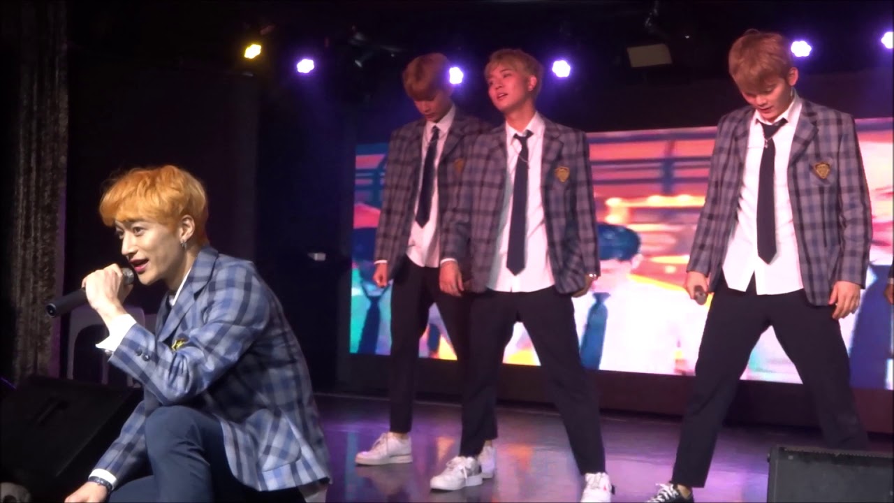Kokoon 코쿤 뭐라고 What 12 30 Showbox 新大久保 Youtube
