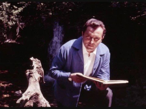 Und es blitzen sterne(E Lucevan Le Stelle) Fritz Wunderlich