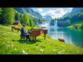 (No Ads) 15 Most Listened Classical Melodies 🎶Mozart, Beethoven, Chopin, Vivaldi | Relaxing, Healing