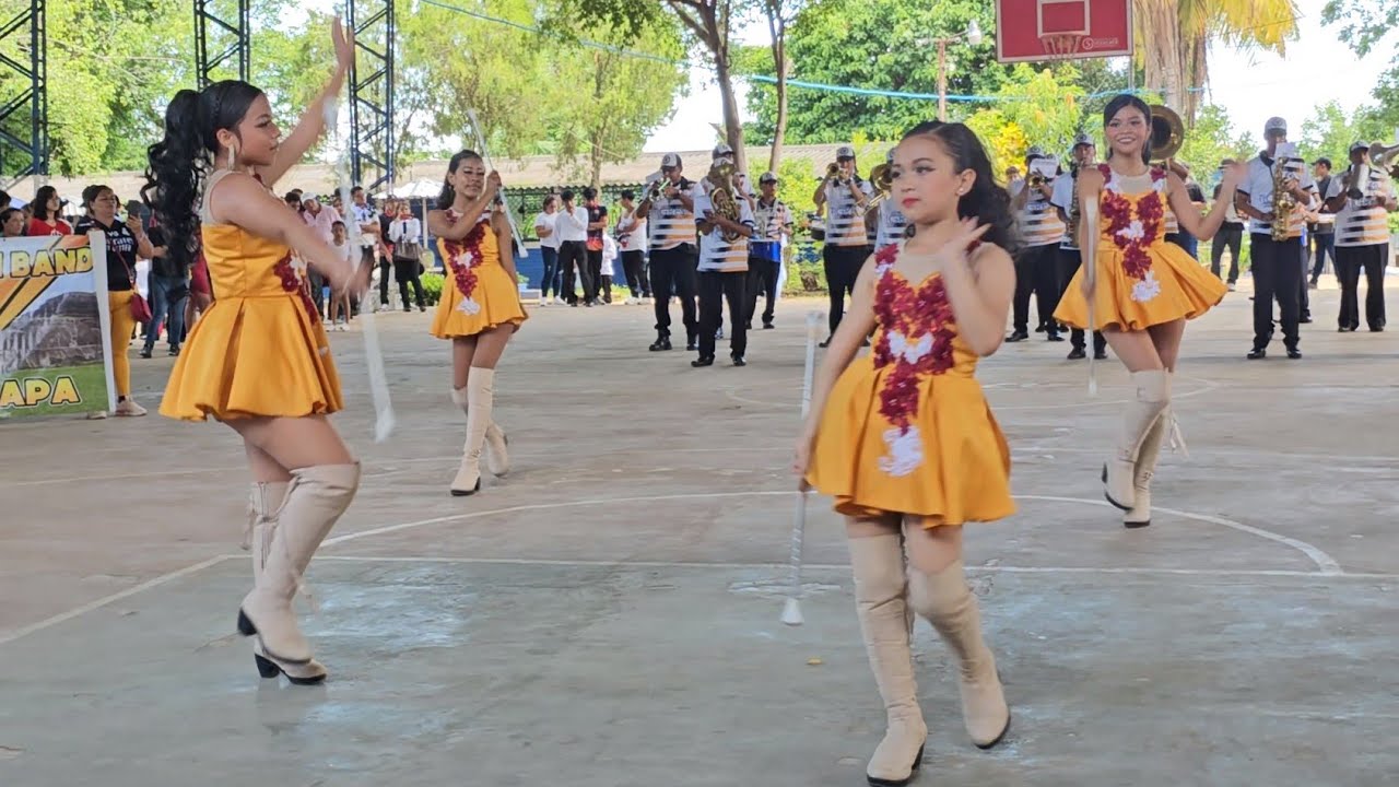 TIGRES LATIN BAND 🐯 Festival de Bandas Romero 2024  🎊
