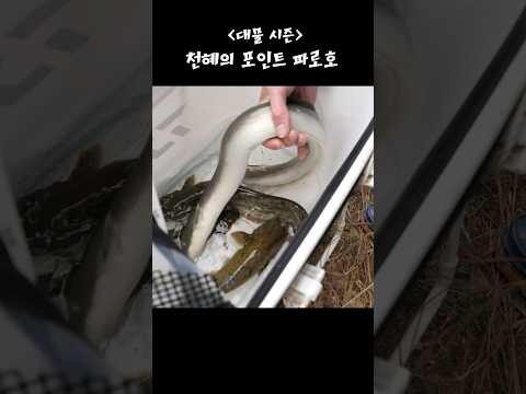 기다렸다! 인파이터장어꾼 시즌5 6회/대물시즌 파로호 탐사[예고]