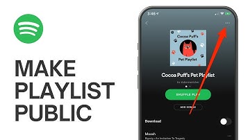 How to Make Spotify Playlist Public