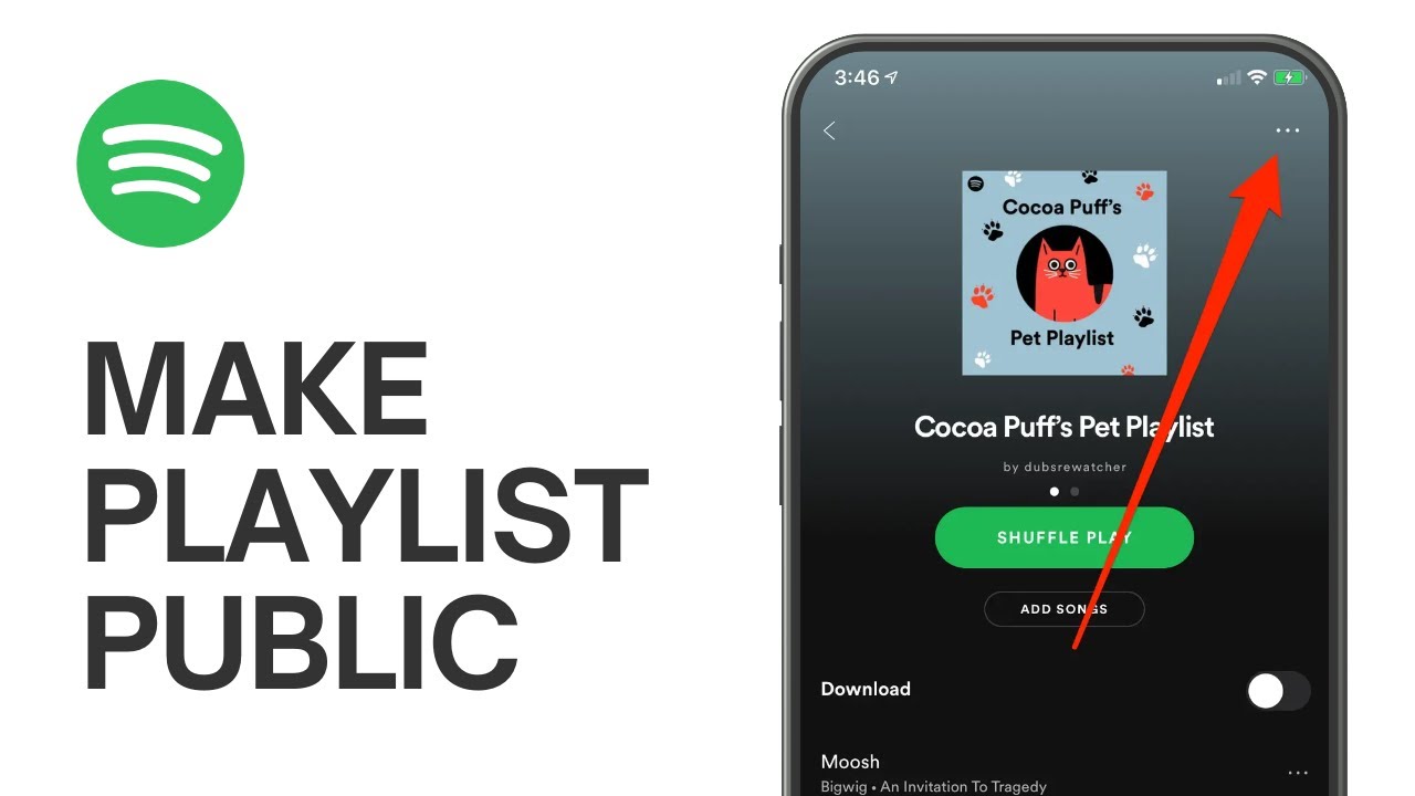 How to Make Spotify Playlist Public
