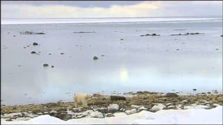 Adventure Tours with Greg Grainger: On Thin Ice