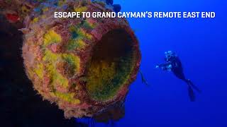Ocean Frontiers and Compass Point Dive Resort - 2026 Readers Choice Awards
