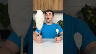 Oh No shorts cats funny cute cat cdanping cats memes comedy outdoors