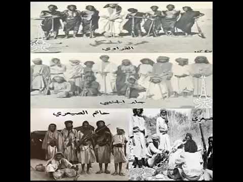 ملوكك كنده الغلابه الصيعري الحكلي الجنيبي 711