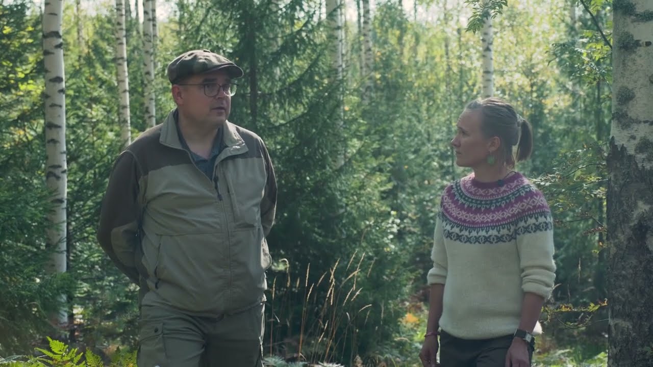 Rauduskoivun kasvatus muuttuvassa ilmastossa