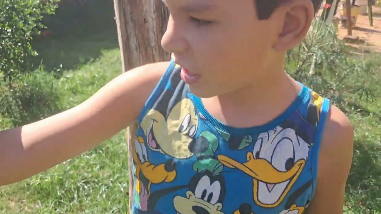 Atualiz. do quintal 22/02/2026 Muitas pitayas e novas flores!