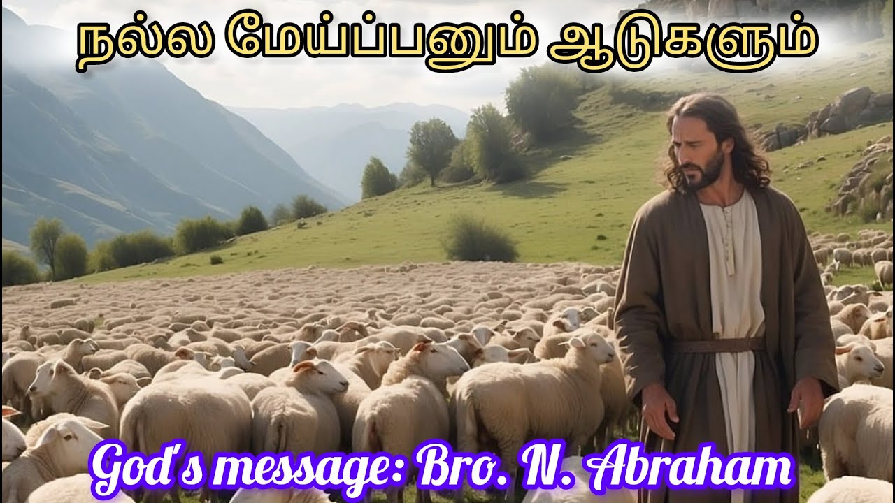 நல்ல மேய்ப்பனும் ஆடுகளும் ( Bro. N. Abraham) -BIBLE MANNA - YouTube