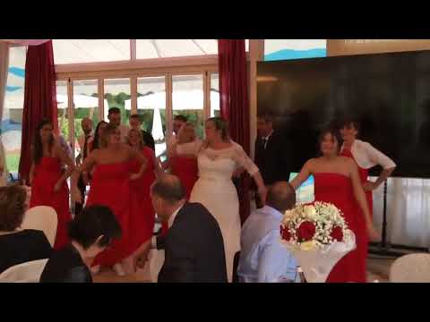 Timber @ Pitbull wedding's flashmob