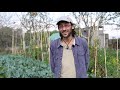 PROGETTO COMLOC: VIDEO TESTIMONIANZE COMPOSTAGGIO