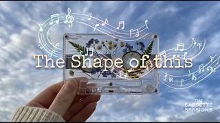 The Shape of This (Original Indie Folk) screenshot 5