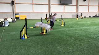 Agilityseminar With Tereza Králová 16-17.2.2019 Day 2