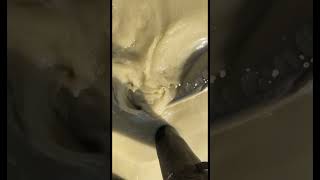 Fish JUMPSCARE!! Wait for it…😂