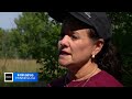 Volunteers work to clear invasive plant at Richfield nature center
