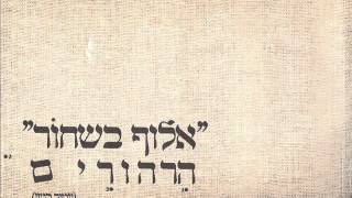 עמיר בניון ארבעים יום וארבעים לילה Amir Benayoun
