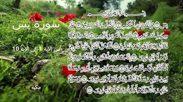 سورة يس - اليوم الأول - من الاية 1 الى الآية 10