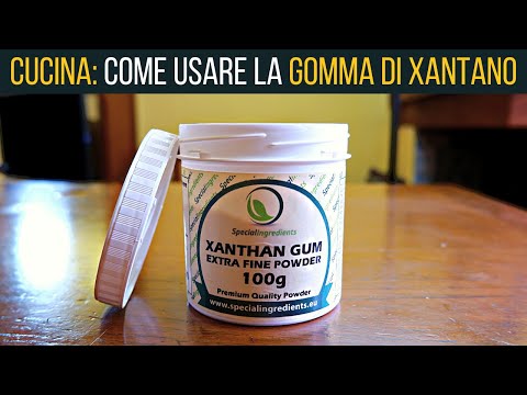 Gomma di Xantano (Xantana Gum) | Food Stories