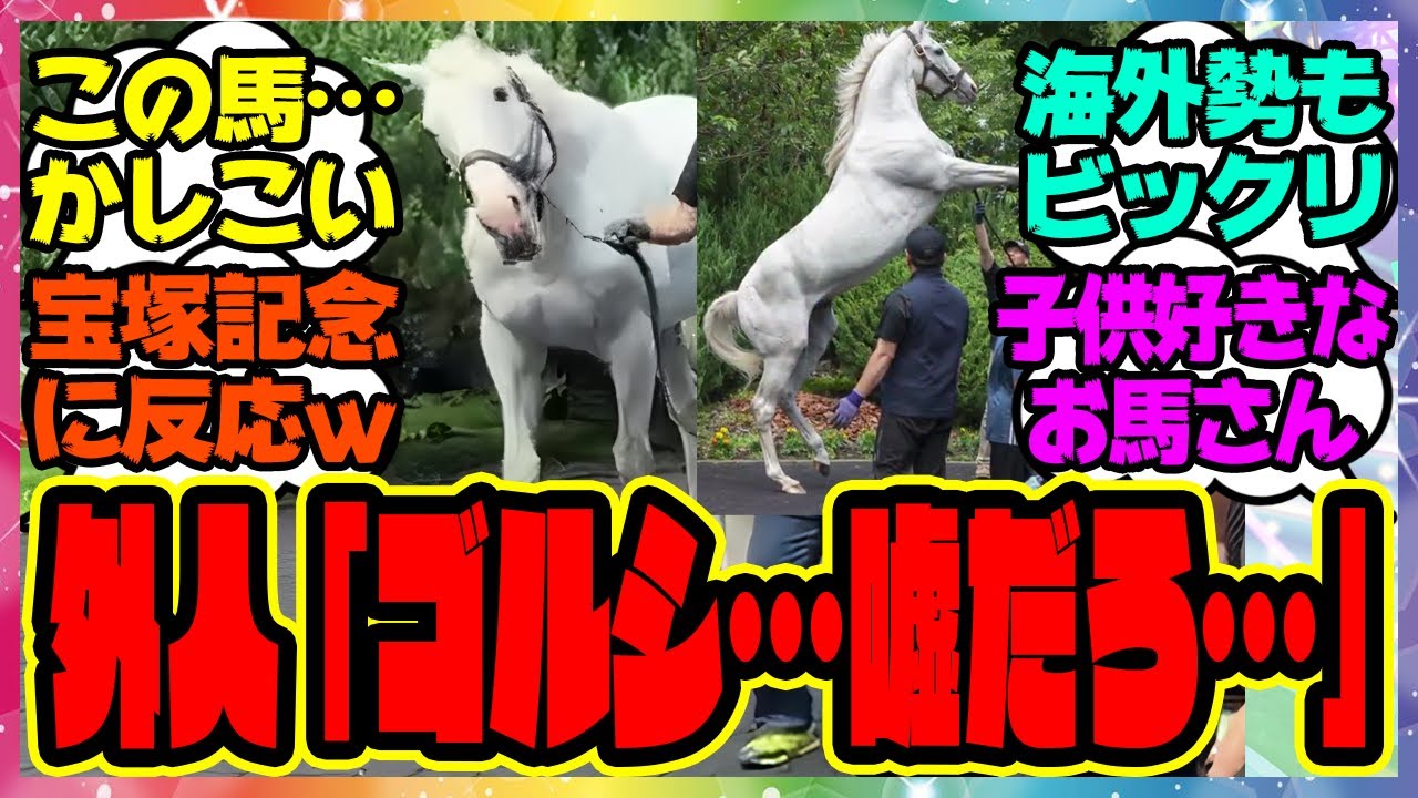 『海外でも話題！宝塚記念という言葉に反応した実馬ゴールドシップを見て驚く外国人トレーナーニキたち！ゴルシ子供好きすぎるだろｗ』に対するみんなの反応集 まとめ ウマ娘プリティーダービー レイミン