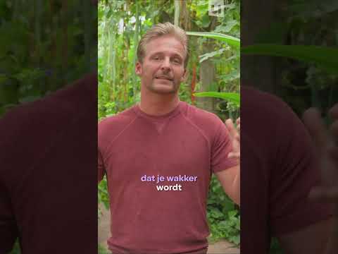 Zo werken hallucinaties tijdens je slaap