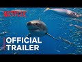 All the Sharks | Official Trailer | Netflix