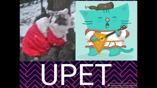 VLOG Прогулка с котиком! Регистрация на UPET! Сайт для животных! VLOG Прогулка с котиком! Регистрация на UPET! Сайт для животных!