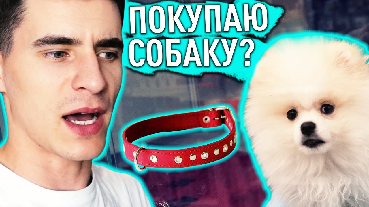 Не могу сделать осаго