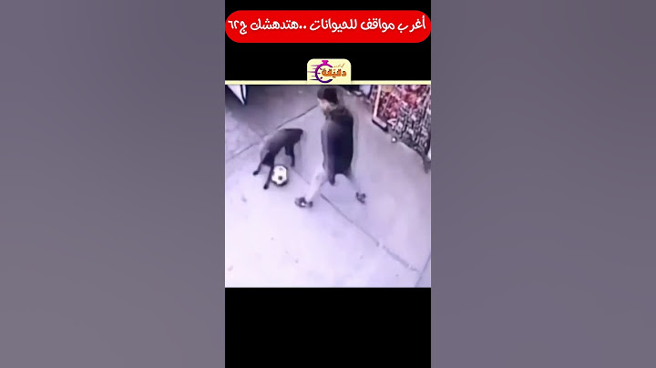 أغرب مواقف للحيوانات ..هتدهشك ج62