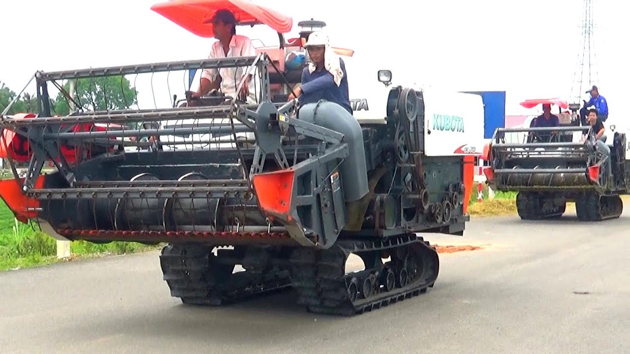 MÁY CẮT LÚA LIÊN HỢP LÀM VIỆC