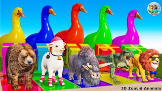 Long Side Game Animals 3D Escape Game cow,monkey,Gorilla,Lion,Duck Animals Challenge Gaming Level screenshot 1