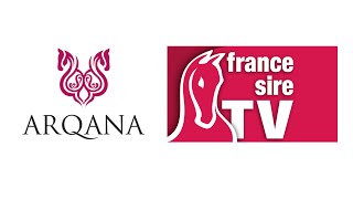 Lots 161 a 325 - La Vente Arqana d Aout 2026