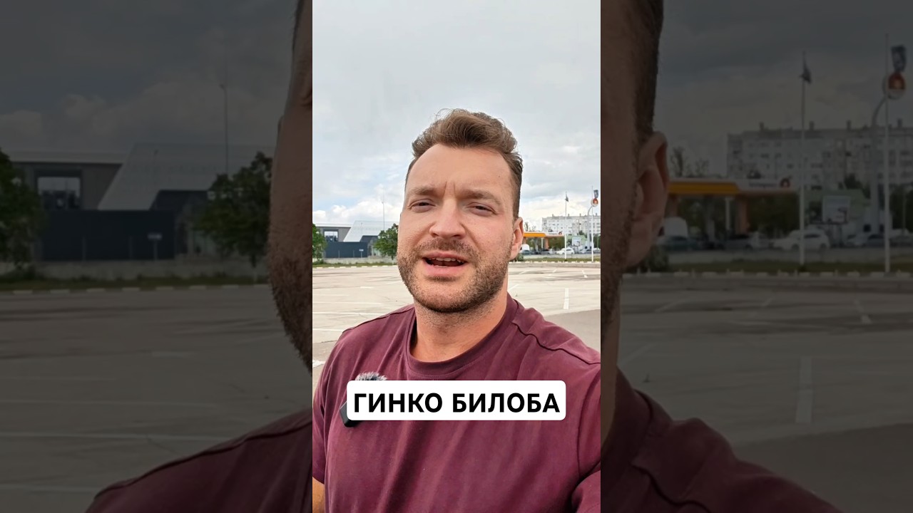 ГИНКО БИЛОБА. ДЛЯ ПАМЯТИ И УМА. #нутрициология