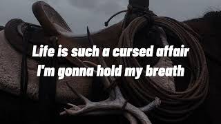 Celebrity Spite // Vandaveer [LYRICS] Net Worth