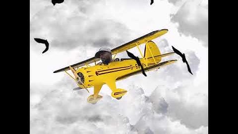 Crypto Capitalists/Exile NFT - UNKNOWN MIZERY