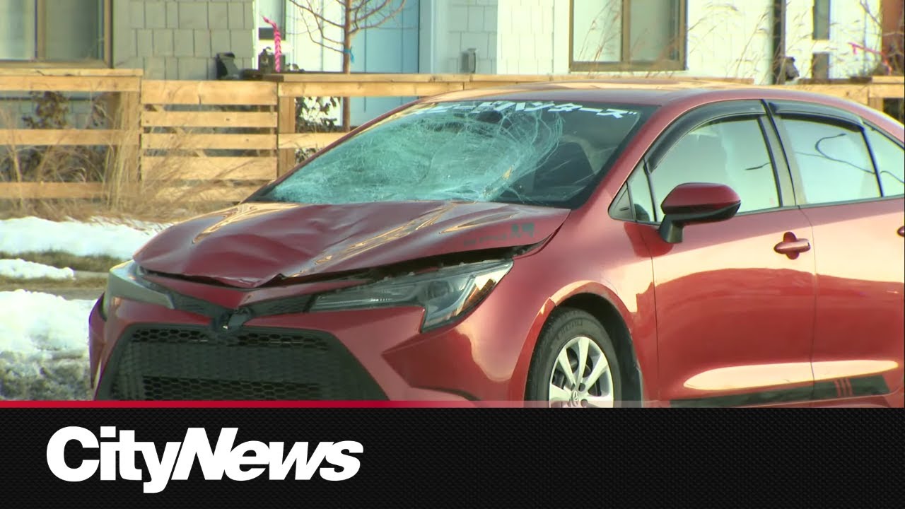 Boy in life-altering condition after being hit by car in SW Calgary ...
