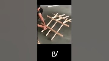 spring loaded”  #explorephysics #physicsfun