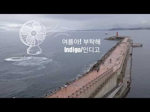 여름아,부탁해~/인디고indigo(가사.자막)