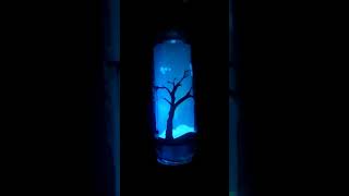 Empty Bottle DIY Craft Ideas | Glass wine Bottle reuse Ideas | 5 Minute Craft Ideas