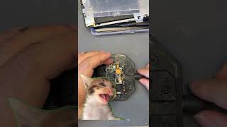Dô dô các em, nay khầy gặp kèo không thơm #smartphone #repair